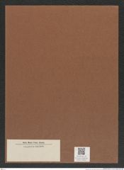 Diatomeae indet. Zeichnungen Sammlung Grunow Mappe 03604 (Herbarium_W_Grunow_drawings_Folder_03604)